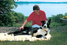 hundemassage